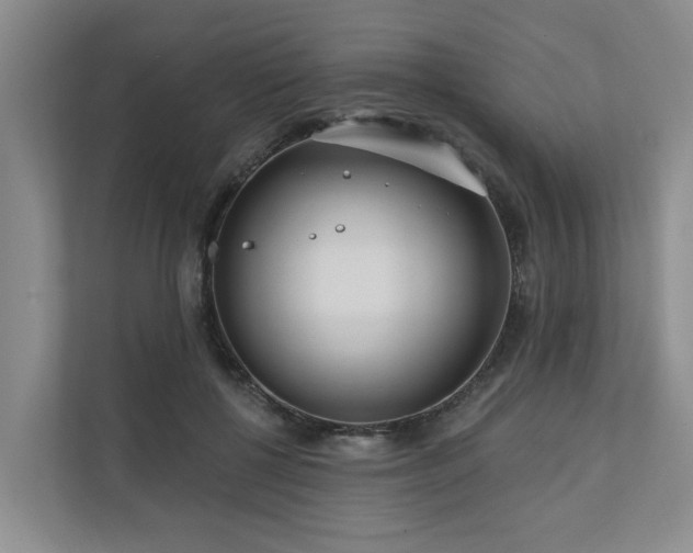 X0000111170552200907011351