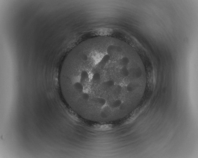 X0000111170553200907011351