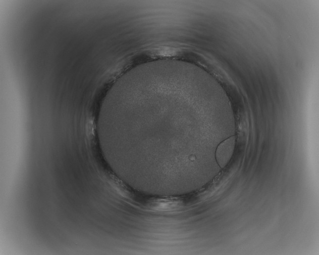 X0000111170555200907011351