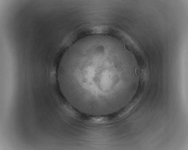 X0000111170557200907011351