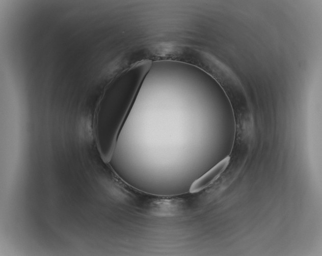 X0000111170558200907011351