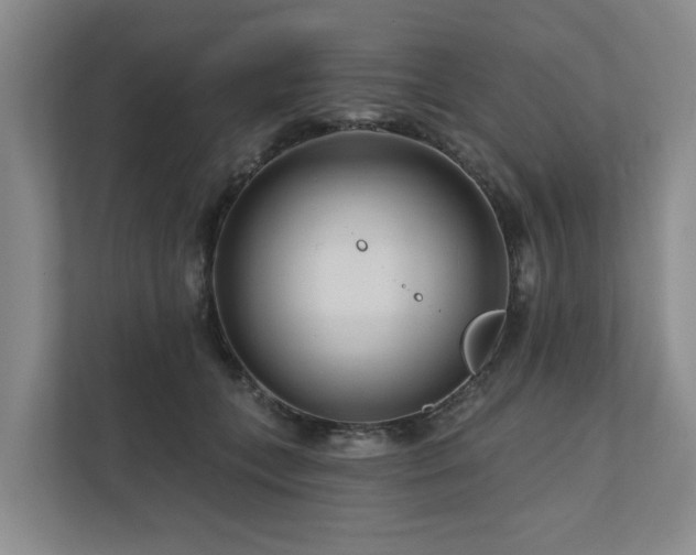 X0000111170559200907011352