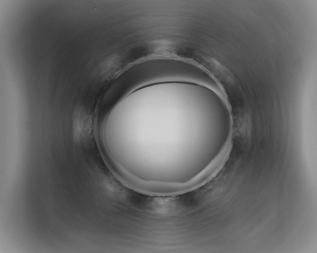 X0000111170560200907011352