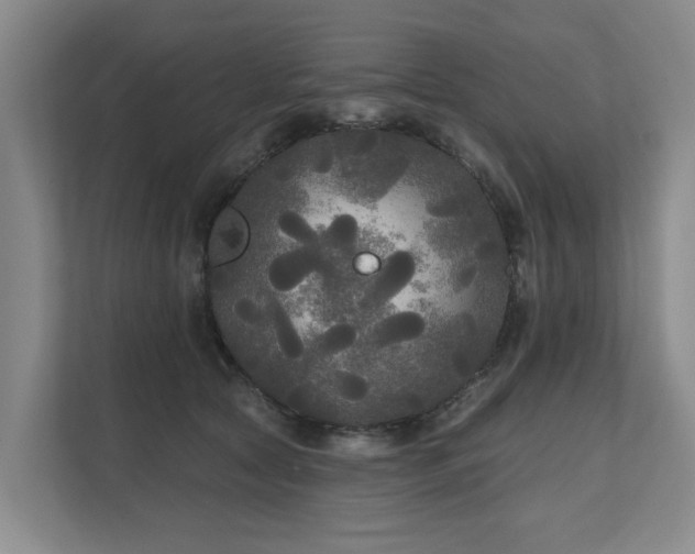 X0000111170561200907011352