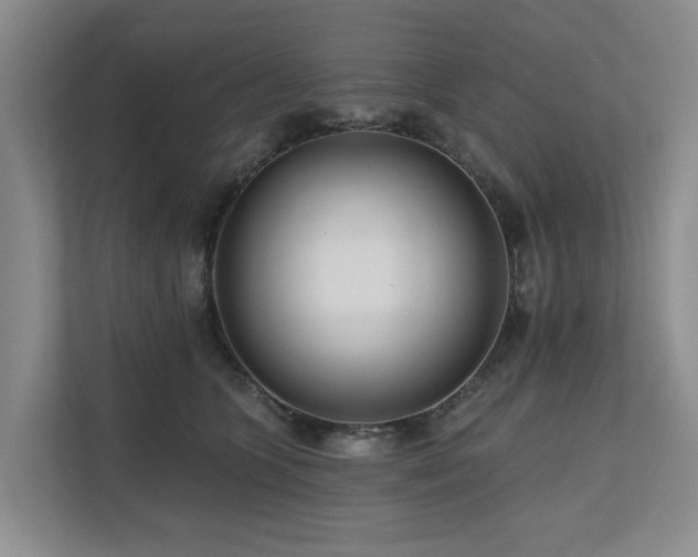 X0000111170563200907011352