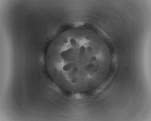 X0000111170565200907011352