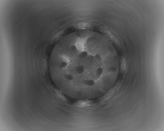 X0000111170569200907011352