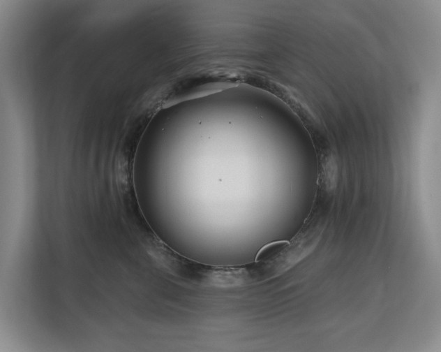 X0000111170571200907011352