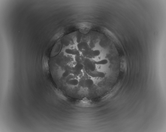 X0000111170573200907011352