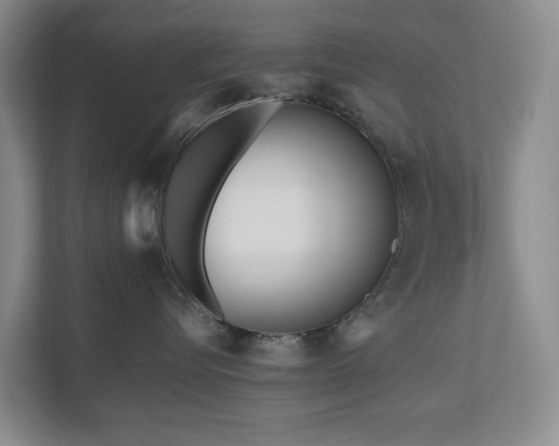 X0000111170576200907011352