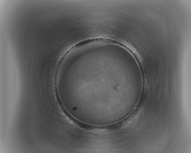 X0000111170577200907011351