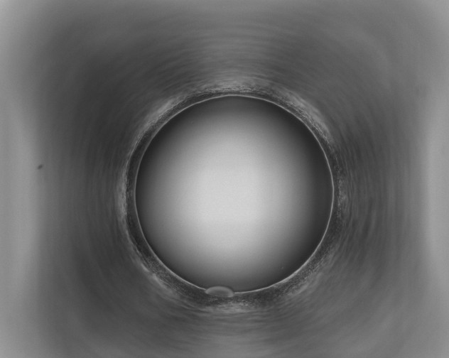 X0000111170578200907011351