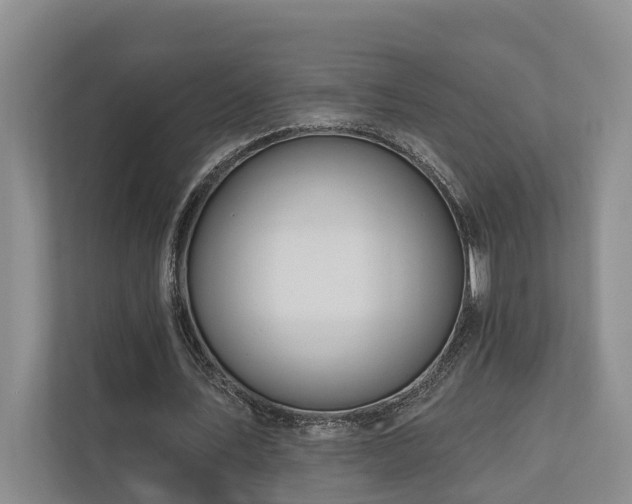 X0000111170579200907011351