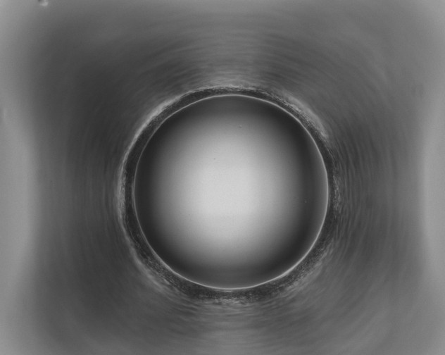 X0000111170580200907011351