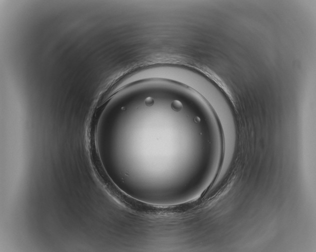 X0000111170581200907011351