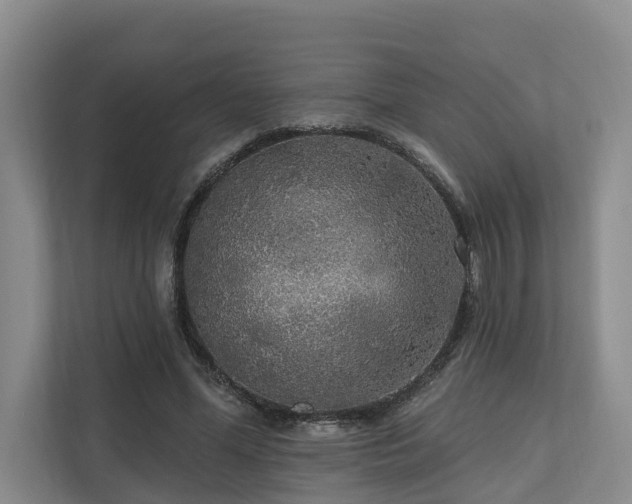 X0000111170588200907011351