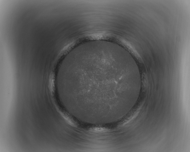 X0000111170590200907011351