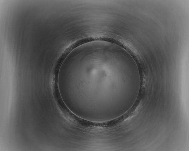 X0000111170592200907011351