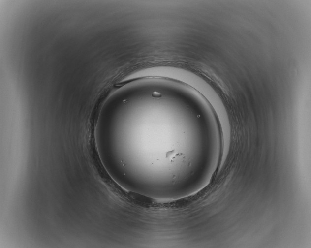 X0000111170593200907011351