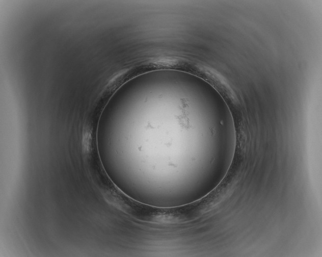 X0000111170596200907011351