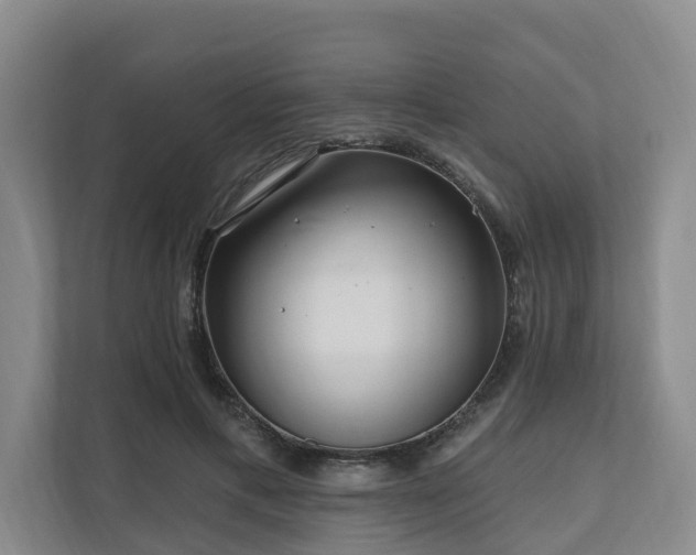 X0000111170597200907011351