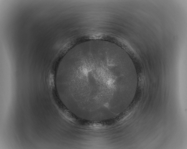 X0000111170598200907011351