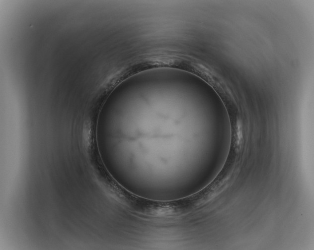 X0000111170600200907011351