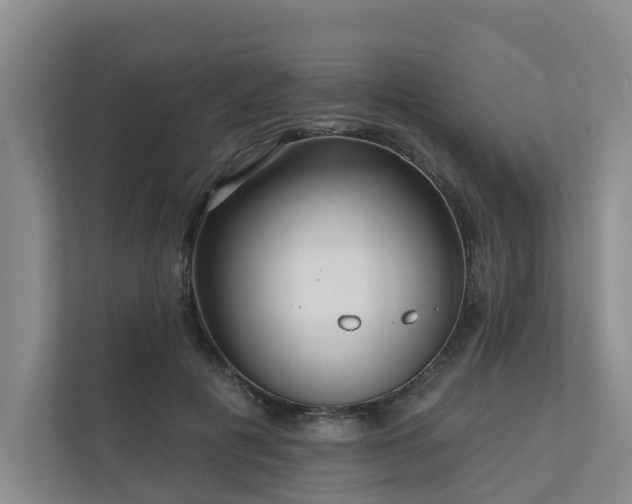 X0000111170601200907011351