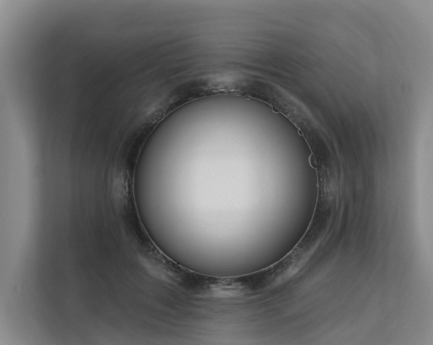 X0000111170603200907011351