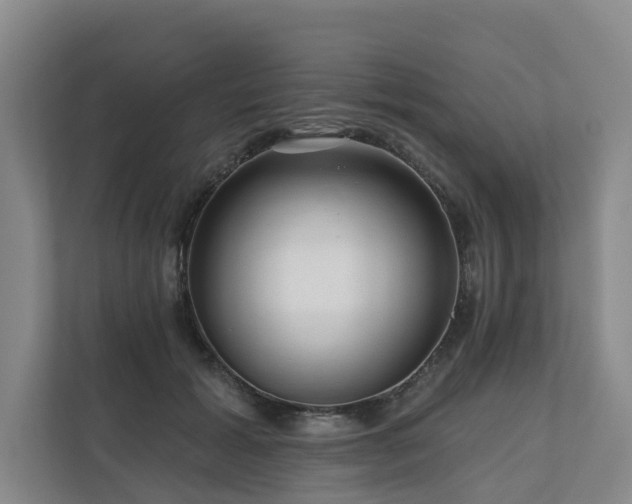 X0000111170605200907011351