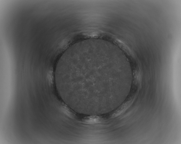 X0000111170612200907011351