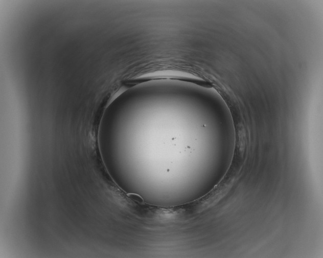 X0000111170613200907011351