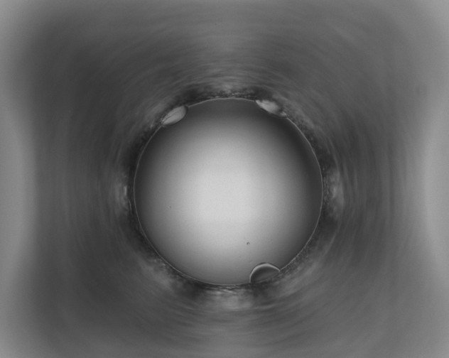 X0000111170615200907011351