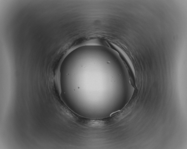 X0000111170617200907011351