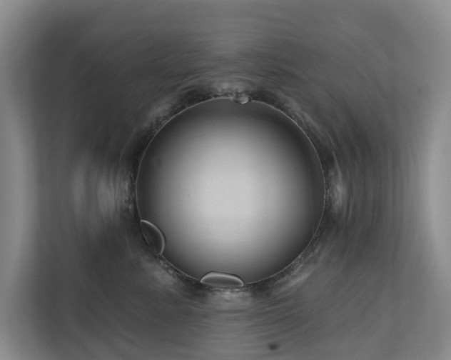 X0000111170619200907011351