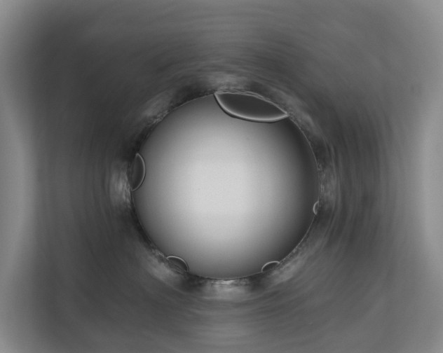 X0000111170622200907011351