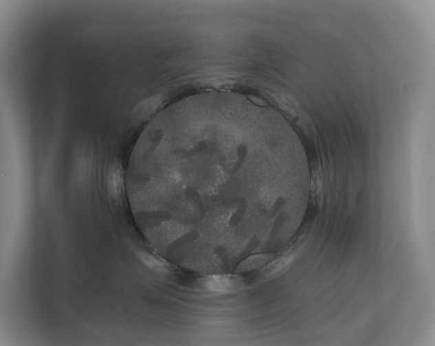 X0000111170623200907011351