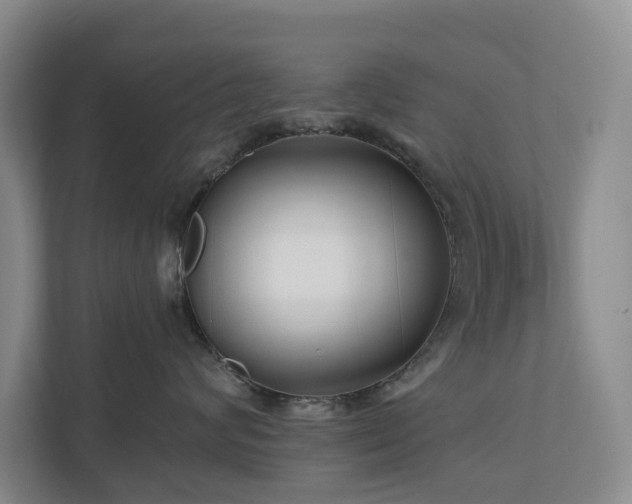 X0000111170624200907011350