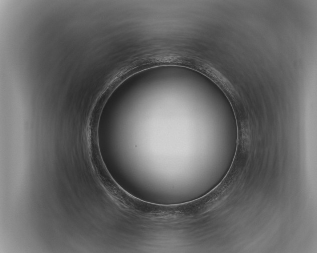 X0000111170626200907011350