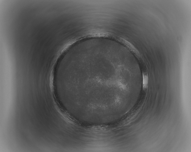 X0000111170627200907011350