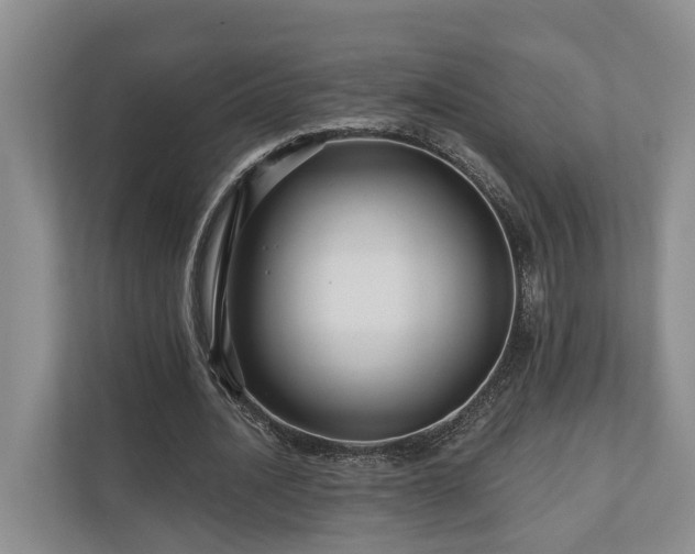 X0000111170628200907011350