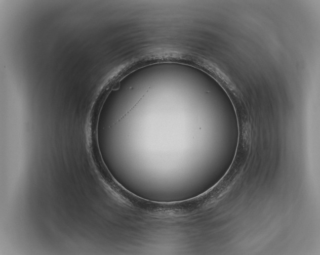 X0000111170629200907011350