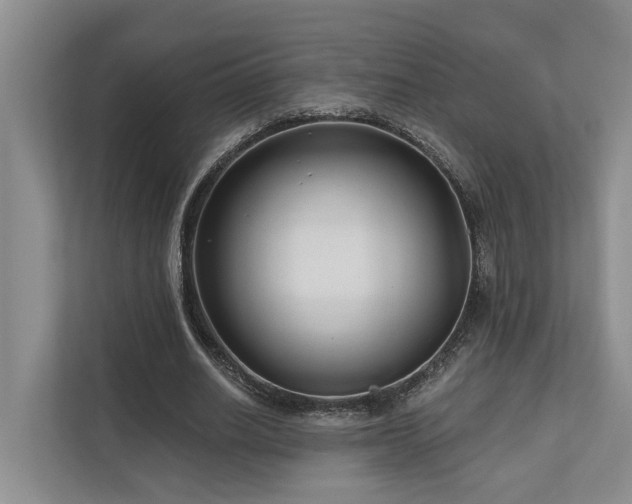 X0000111170630200907011350