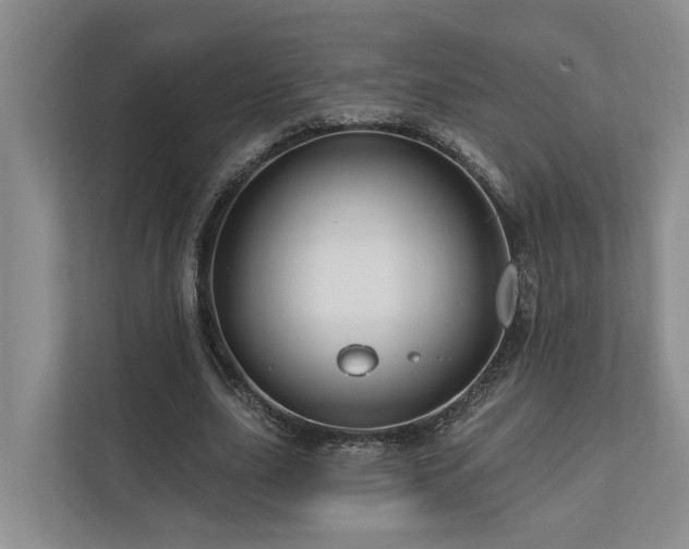 X0000111170631200907011350