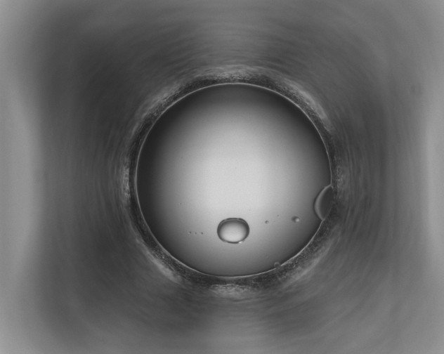 X0000111170633200907011350