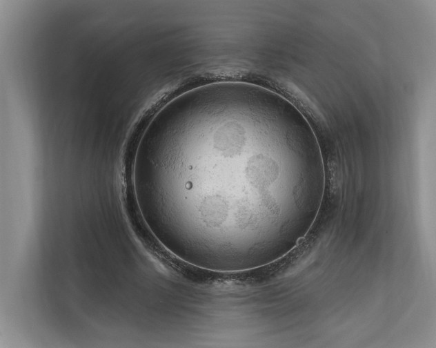 X0000111170634200907011350