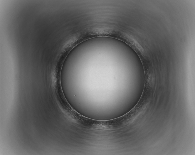 X0000111170635200907011350