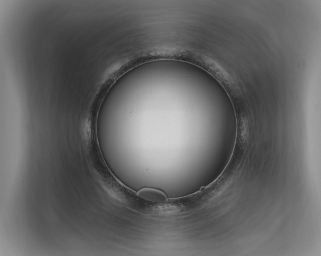 X0000111170636200907011350