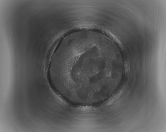 X0000111170637200907011350