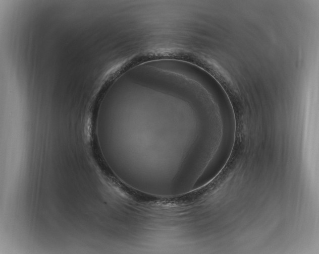 X0000111170640200907011350